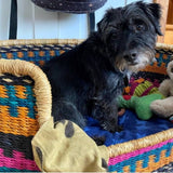 Comfortable Dog Basket Bed | Colourful dog bed | beautiful Puppy Bed | Handmade Pet Furniture | Cute dog bed | Personalised dog bed |