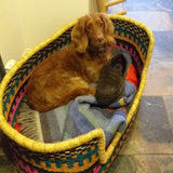 Comfortable Dog Basket Bed | Colourful dog bed | beautiful Puppy Bed | Handmade Pet Furniture | Cute dog bed | Personalised dog bed |