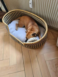 Luxury Handwoven Bolga Dog Basket – Eco-Friendly Pet Bed for Small Dogs & Cats | Durable, Natural Straw, Boho Home Decor