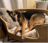 Comfortable Dog Basket Bed | Dobermann bed | Natural dog bed | Woven dog bed | Luxury dog basket | Indestructible dog bed | luxury dog bed
