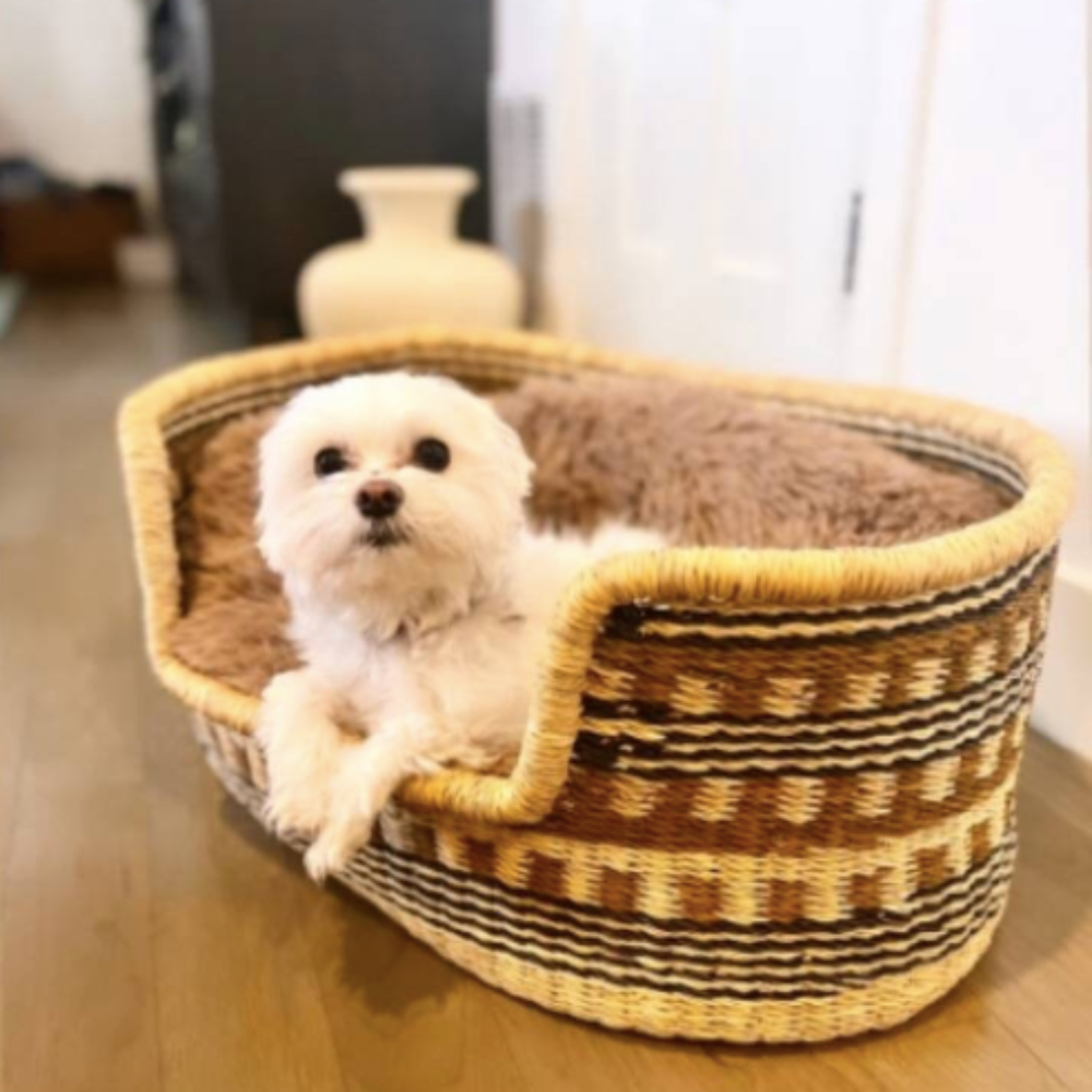 Woven basket dog 2024 beds