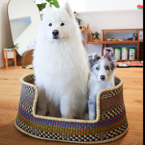 Comfortable Dog Basket Bed | Colourful dog bed | Handmade dog basket | Round woven dog bed