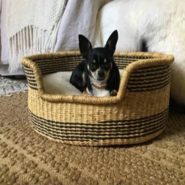 African dog best sale basket