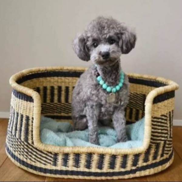 Comfortable Dog Basket Bed | Woven basket for pet | Pet baskets | Ghana basket | Puppy bed | cat basket | large dog bed