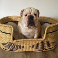 Comfortable Dog Basket Bed | Woven Dog Bed | Puppy Bed | Sustainable dog bed | Custom Pet Bed | Cat basket | Dog Furniture | Extra large dog