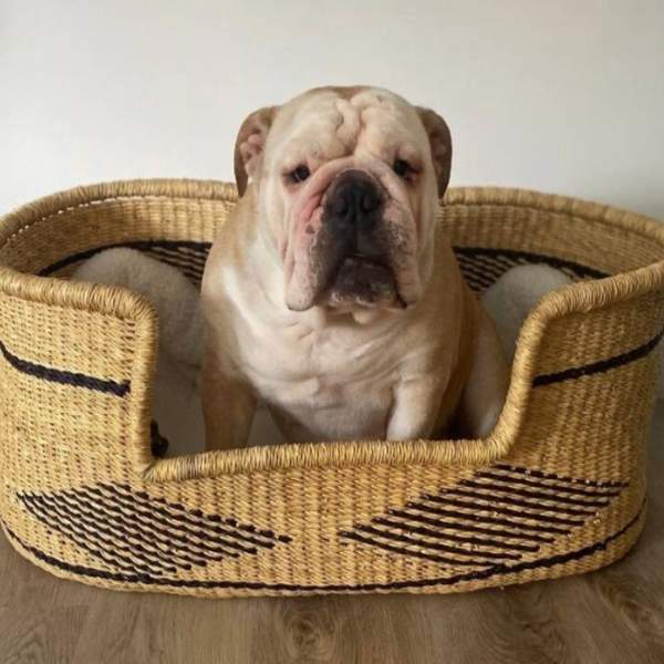 Comfortable Dog Basket Bed Woven Dog Bed Puppy Bed